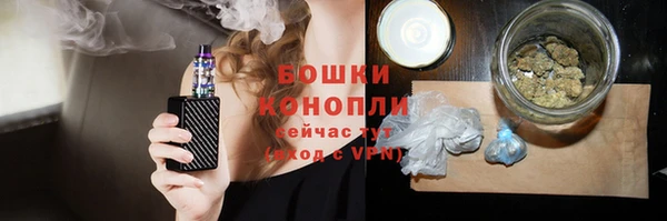 ПСИЛОЦИБИНОВЫЕ ГРИБЫ Белокуриха