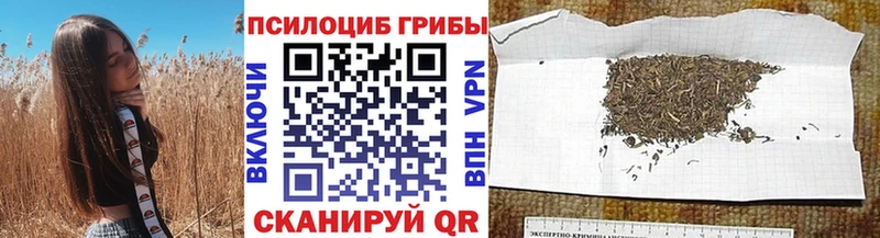 Галлюциногенные грибы прущие грибы Белоусово